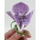 TDZ136 - 3D Alkali Mariposa Lily